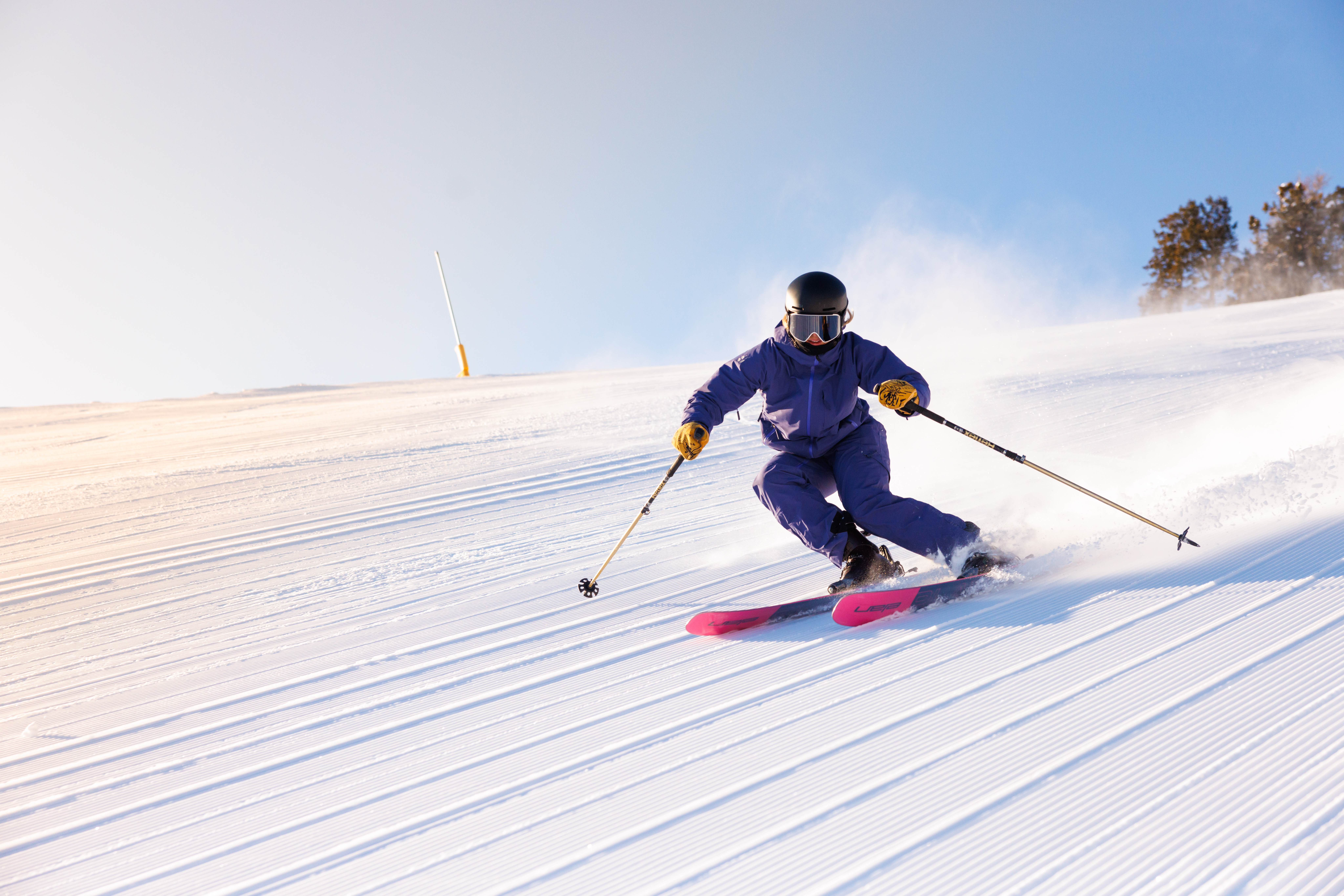 svr_rileyrevallier_sofia-jaramillo_02-08-25_7-(4)